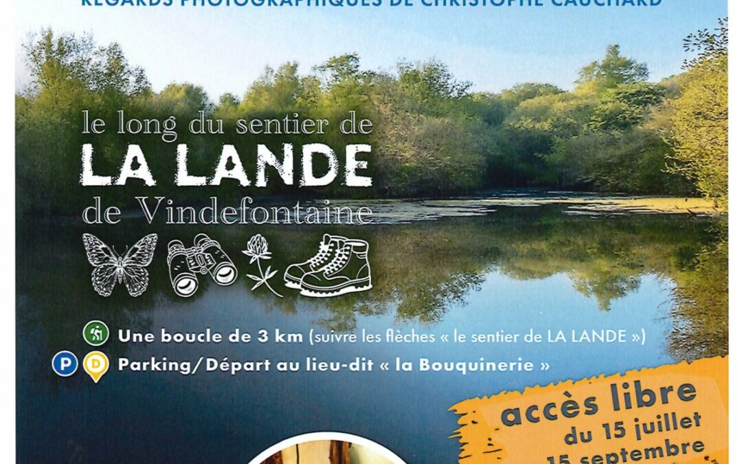 EXPOSITION PLEIN AIR A VINDEFONTAINE